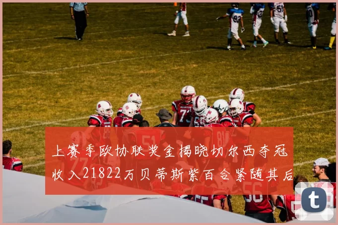 上赛季欧协联奖金揭晓切尔西夺冠收入21822万贝蒂斯紫百合紧随其后
